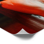 Bob Langrish | Arabisch paard met honden Poster (Hoek)