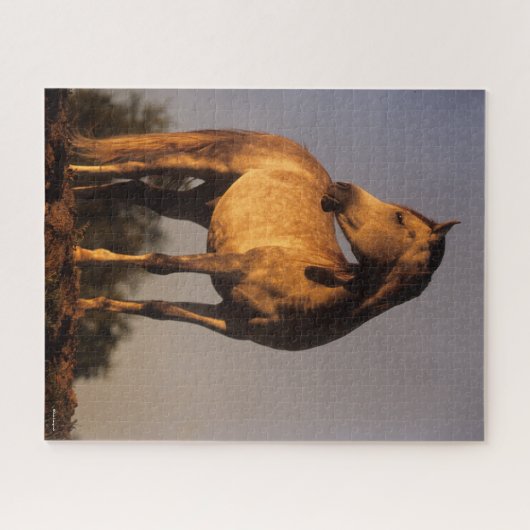 Bob Langrish | Arabisch permanent op een heuvel op Legpuzzel (Horizontaal)