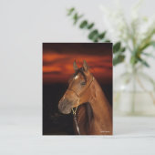 Bob Langrish | Arabisch Stallion Headshot Sunset Briefkaart (Staand voorkant)