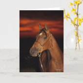 Bob Langrish | Arabisch Stallion Headshot Sunset Kaart (Gele Bloem)