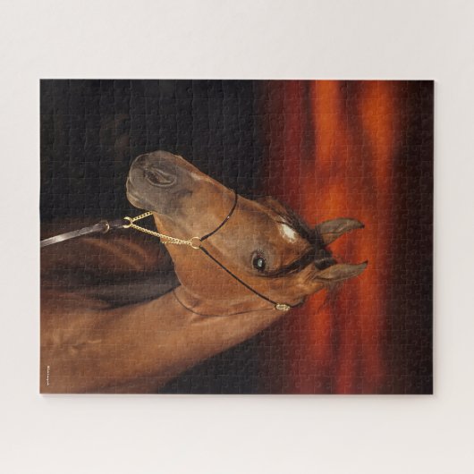 Bob Langrish | Arabisch Stallion Headshot Sunset Legpuzzel (Horizontaal)