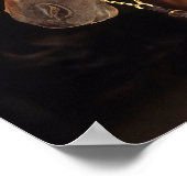 Bob Langrish | Arabisch Stallion Headshot Sunset Poster (Hoek)