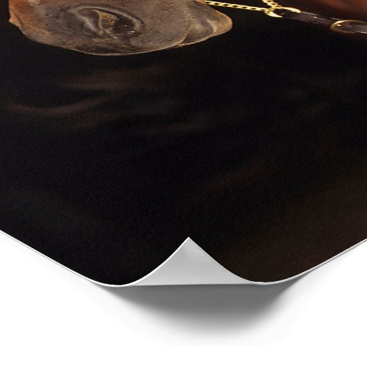 Bob Langrish | Arabisch Stallion Headshot Sunset Poster (Hoek)