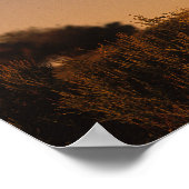 Bob Langrish | Arabisch standje op zonsondergang Poster (Hoek)