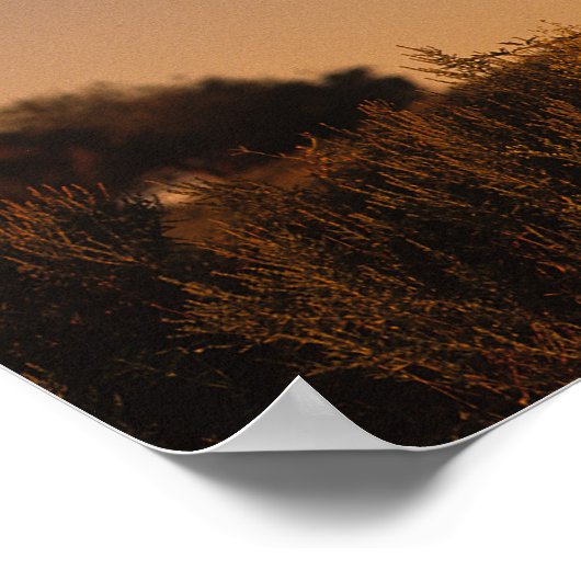 Bob Langrish | Arabisch standje op zonsondergang Poster (Hoek)