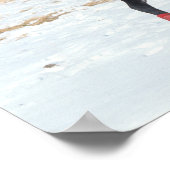 Bob Langrish | Arabische baai met sneeuw Poster (Hoek)