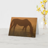 Bob Langrish | Arabische begrazing op de lijst Kaart (Gele Bloem)