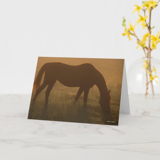 Bob Langrish | Arabische begrazing op de lijst Kaart (Gele Bloem)