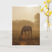 Bob Langrish | Arabische begrazing op zonsondergan Kaart (Gele Bloem)