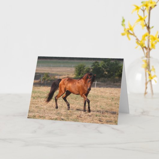 Bob Langrish | Arabische Golf Kaart (Gele Bloem)