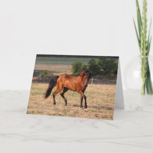 Bob Langrish   Arabische Golf Kaart