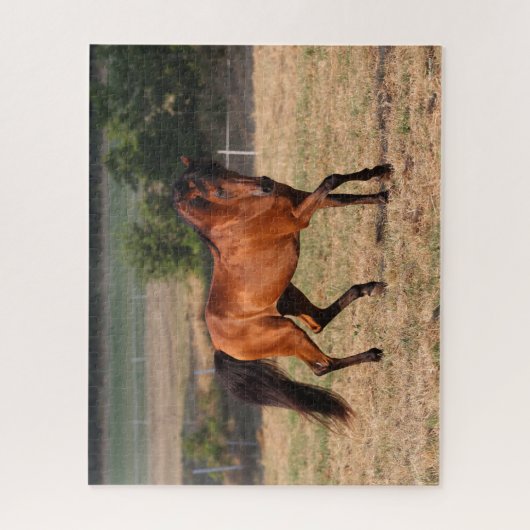 Bob Langrish | Arabische Golf Legpuzzel (Verticaal)