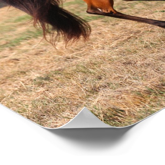 Bob Langrish | Arabische Golf Poster (Hoek)