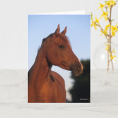 Bob Langrish | Arabische kastanjekop Kaart (Gele Bloem)