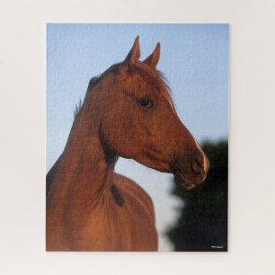 Bob Langrish Arabische kastanjekop Legpuzzel