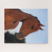 Bob Langrish | Arabische kastanjekop Legpuzzel (Horizontaal)