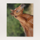 Bob Langrish | Arabische kastanjekoppen: stromend Legpuzzel (Verticaal)