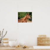 Bob Langrish | Arabische kastanjekoppen: stromend Poster (Keuken)