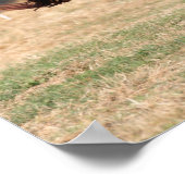 Bob Langrish | Arabische kastanjestabel lopende 3 Poster (Hoek)