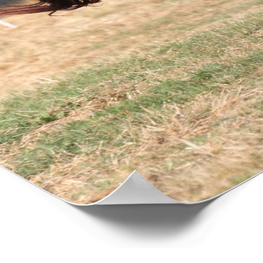 Bob Langrish | Arabische kastanjestabel lopende 3 Poster (Hoek)