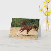 Bob Langrish | Arabische kastanjestroop Kaart (Gele Bloem)