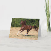 Bob Langrish | Arabische kastanjestroop Kaart (Voorkant)