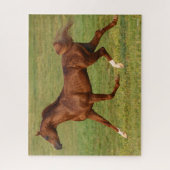 Bob Langrish | Arabische kastanjestroop Legpuzzel (Verticaal)