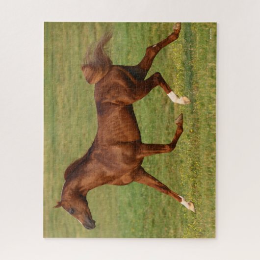 Bob Langrish | Arabische kastanjestroop Legpuzzel (Verticaal)