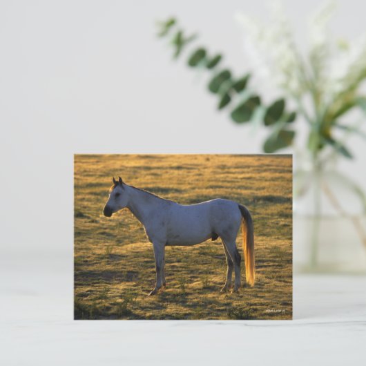 Bob Langrish | Arabische permanente achtergrondver Briefkaart (Staand voorkant)