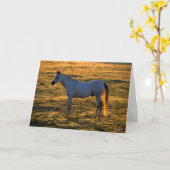 Bob Langrish | Arabische permanente achtergrondver Kaart (Gele Bloem)