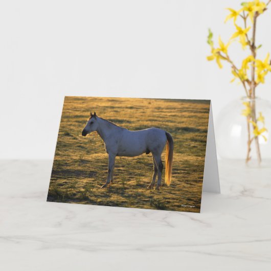 Bob Langrish | Arabische permanente achtergrondver Kaart (Gele Bloem)