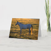 Bob Langrish | Arabische permanente achtergrondver Kaart (Voorkant)