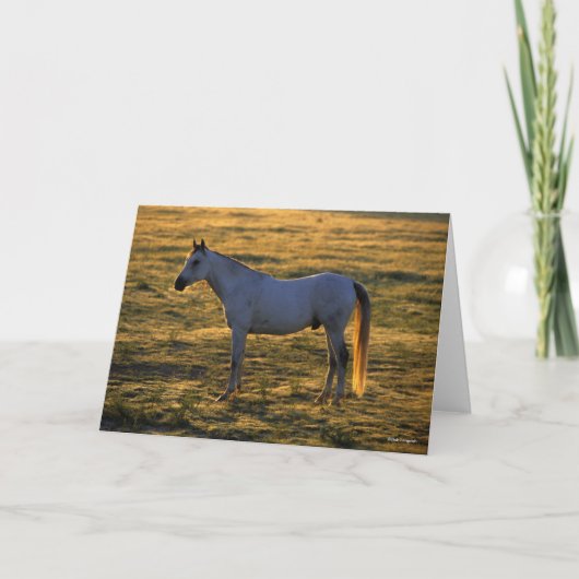 Bob Langrish | Arabische permanente achtergrondver Kaart (Voorkant)