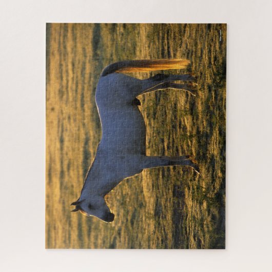 Bob Langrish | Arabische permanente achtergrondver Legpuzzel (Verticaal)