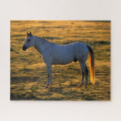 Bob Langrish | Arabische permanente achtergrondver Legpuzzel (Horizontaal)