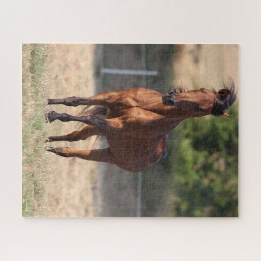 Bob Langrish | Arabische Permanente Golfmanspoel Legpuzzel (Horizontaal)