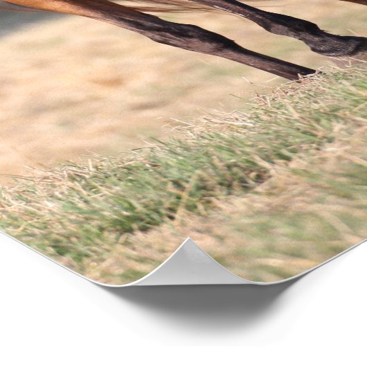 Bob Langrish | Arabische Permanente Golfmanspoel Poster (Hoek)