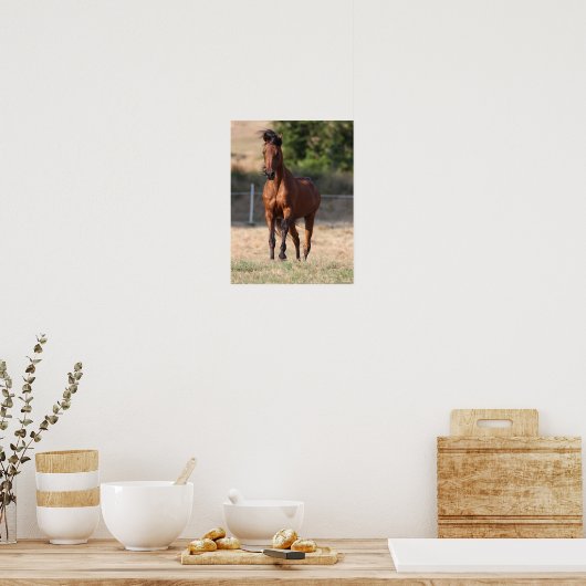 Bob Langrish | Arabische Permanente Golfmanspoel Poster (Keuken)