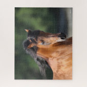 Bob Langrish | Arabische schok op de baai Legpuzzel (Verticaal)