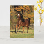 Bob Langrish | Autonome Arabische baai Kaart (Gele Bloem)