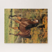 Bob Langrish | Autonome Arabische baai Legpuzzel (Horizontaal)