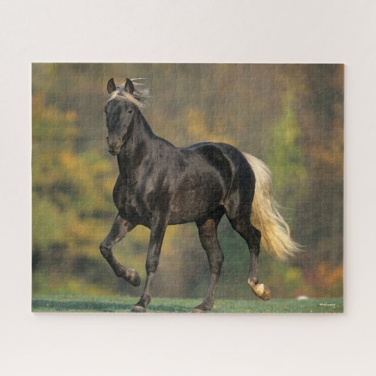 Bob Langrish | Autumn van de Rocky Mountain Horse Legpuzzel (Horizontaal)