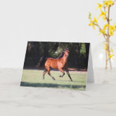 Bob Langrish | Baai Tennessee Walker aan de gang Kaart (Gele Bloem)