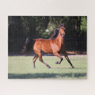 Bob Langrish   Baai Tennessee Walker aan de gang Legpuzzel