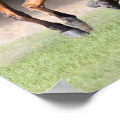 Bob Langrish | Baai Tennessee Walker aan de gang Poster (Hoek)