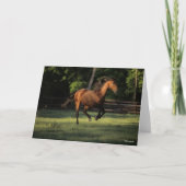 Bob Langrish | Baai van Andalucian Kaart (Voorkant)