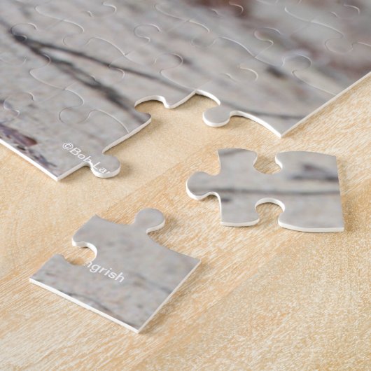 Bob Langrish | Baai van Andalucian Stallion aan de Legpuzzel (Zijkant)