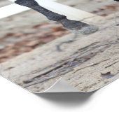 Bob Langrish | Baai van Andalucian Stallion aan de Poster (Hoek)