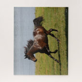 Bob Langrish | Baai van Lusitano Mare nabij het me Legpuzzel (Verticaal)