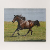 Bob Langrish | Baai van Lusitano Mare nabij het me Legpuzzel (Horizontaal)